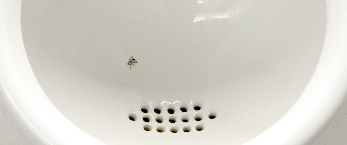 Fly in the Urinal Fly in the Urinal